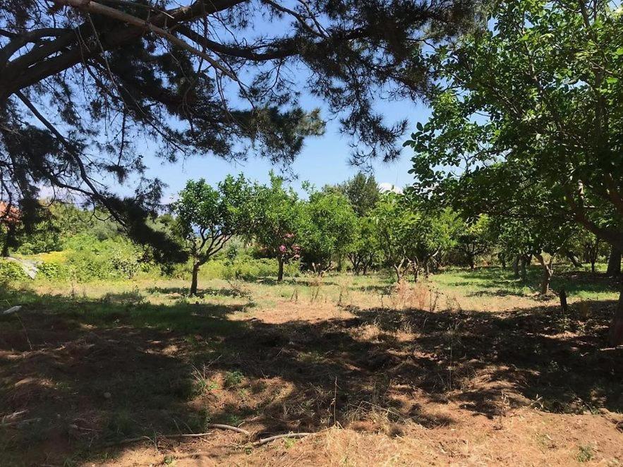 Residenza Crivo Apart otel Parghelia Dış mekan fotoğraf
