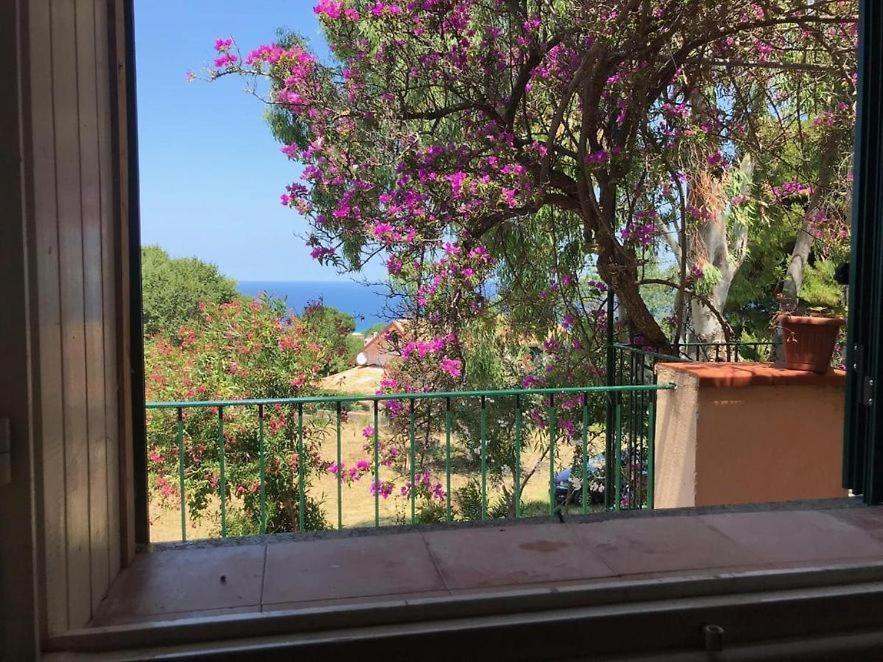 Residenza Crivo Apart otel Parghelia Dış mekan fotoğraf