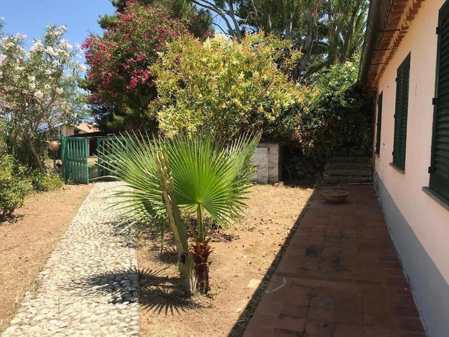 Residenza Crivo Apart otel Parghelia Dış mekan fotoğraf