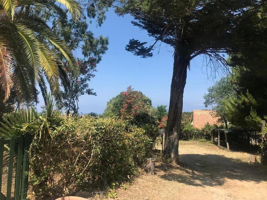 Residenza Crivo Apart otel Parghelia Dış mekan fotoğraf